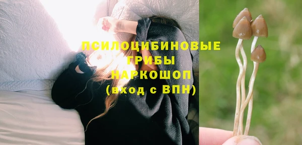 СК Лихославль