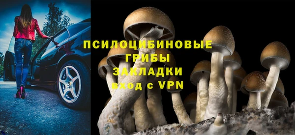 СК Лихославль
